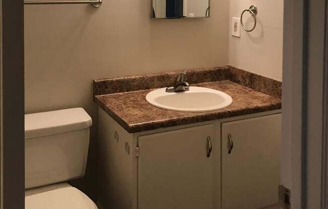 bathroom with large mirror, vanity sink, and toilet