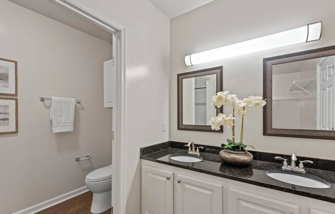 a bathroom with a sink and a mirror and a toilet