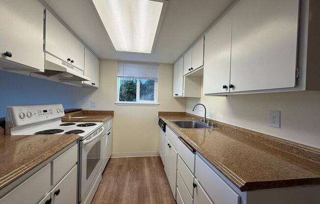 Hazelwood Terrace 3027