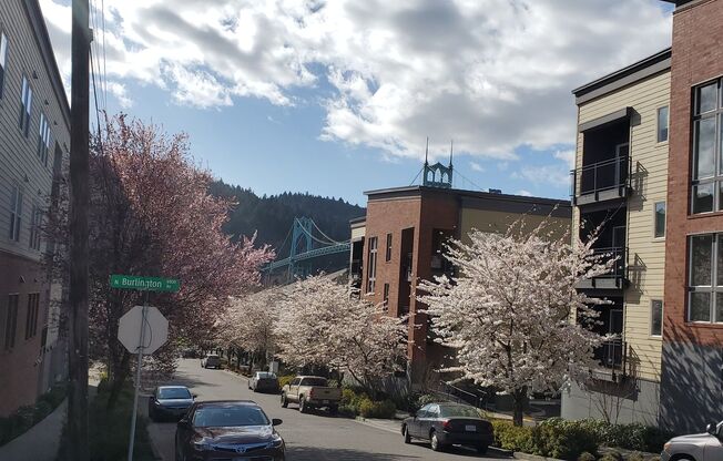 1 bed, 1 bath, 492 sqft, $1,355, Unit 1-212