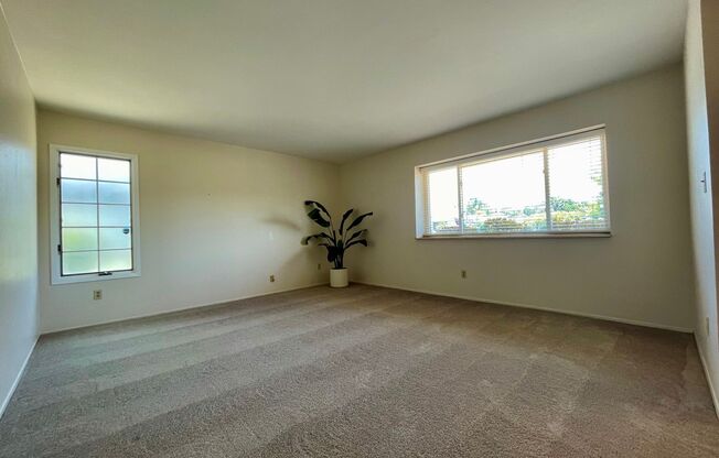 Gorgeous 4 Bedroom 2 Bathroom Home in Bonita!