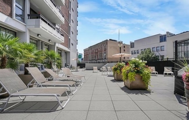 1 bed, 1 bath, 655 sqft, $2,795, Unit 1004