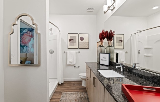 a bathroom with a sink and a mirror and a toilet