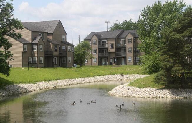 an apartment building overlooks a pond with ducks in the water
