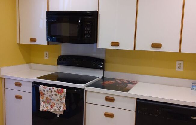 Two Bedroom/ Two Bath Condo at Falls Garden Community