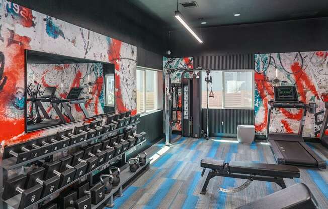 a fitness room with a wall of dumbbells and a mirror