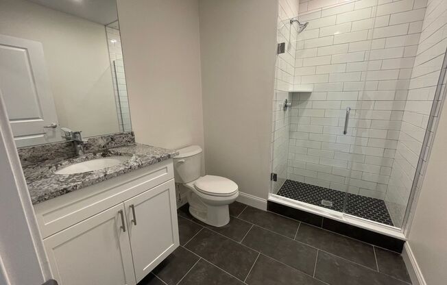 Studio, 1 bath, 302 sqft, $1,700, Unit 402