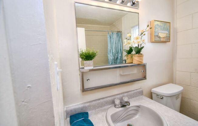 1 bed, 1 bath, 560 sqft, $659, Unit 37-C02