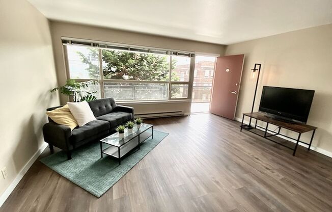 1 bed, 1 bath, 545 sqft, $1,450, Unit 308