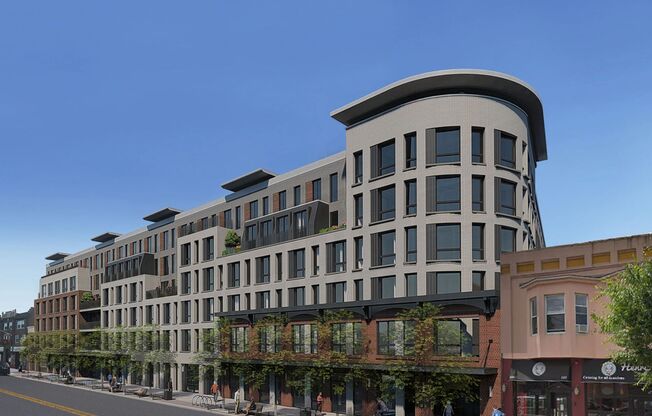 1 bed, 1 bath, 700 sqft, $2,999, Unit APT. 505