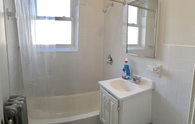 Studio, 1 bath, 275 sqft, $1,375, Unit 409