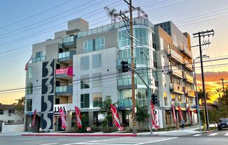 THE ROSE. at OVERLAND