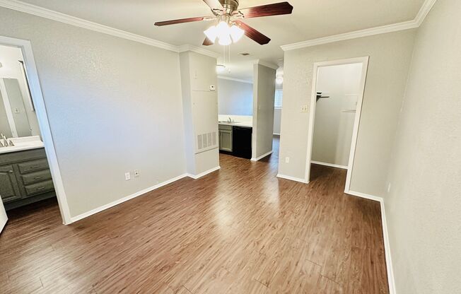 Studio, 1 bath, 500 sqft, $850, Unit 110