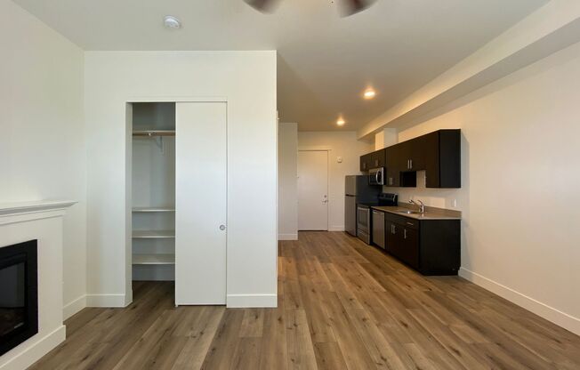 Studio, 1 bath, 390 sqft, $1,199, Unit 206*