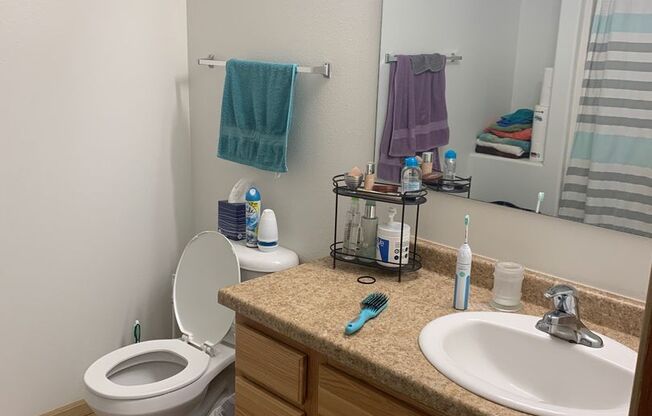 4 beds, 3 baths, 1,517 sqft, $1,895, Unit 304