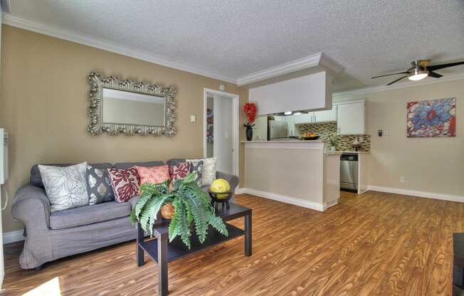 Spacious Living Room at Casa Alberta Apartments, Sunnyvale