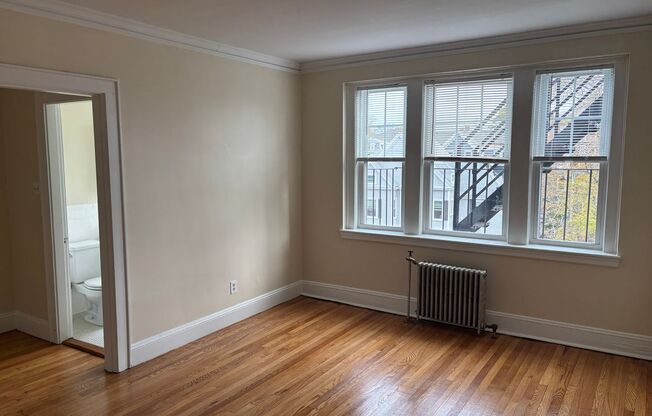 Studio, 1 bath, 421 sqft, $1,900, Unit 56