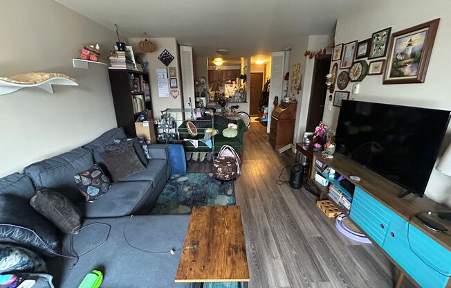 1 bed, 1 bath, $1,145, Unit 301