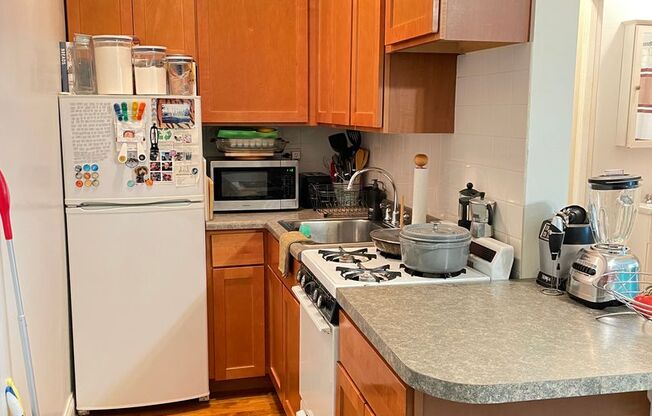 Studio, 1 bath, $1,095, Unit 103