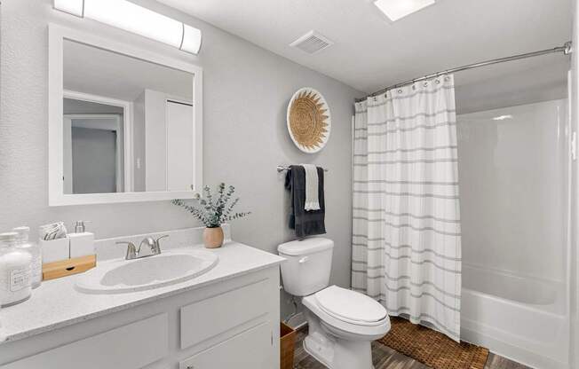 Updated Bathroom