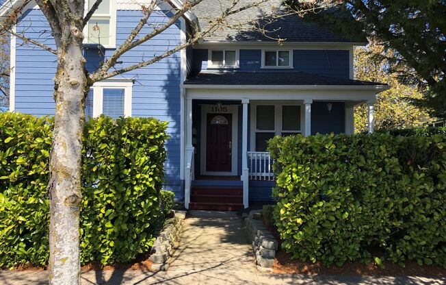 Beautiful Ground Level 1Bed/1Bath with outdoor space Close to Downtown Albany!