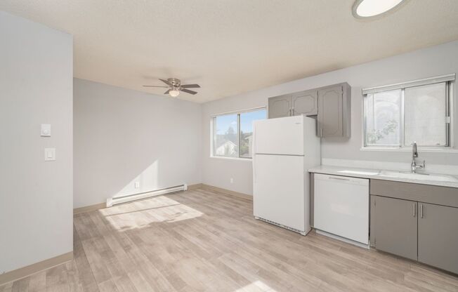 1 bed, 1 bath, 620 sqft, $1,250, Unit 29