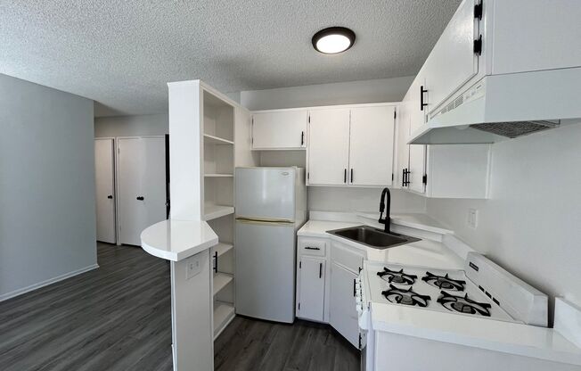 1 bed, 1 bath, 525 sqft, $1,525, Unit 308