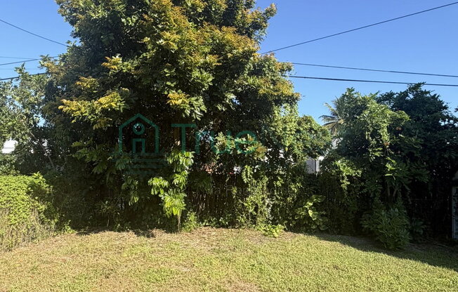 1 bed, 1 bath, $1,495, Unit 3