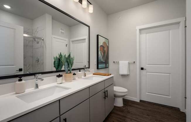 a bathroom with a large mirror and a sink and a toilet