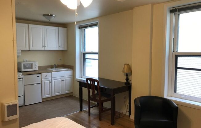 Studio, 1 bath, 388 sqft, $945, Unit 413