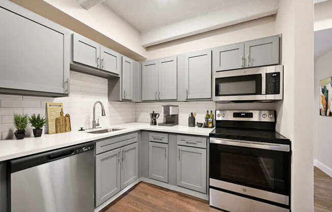 A kitchen with a stainless steel dishwasher and oven, and grey cabinets.