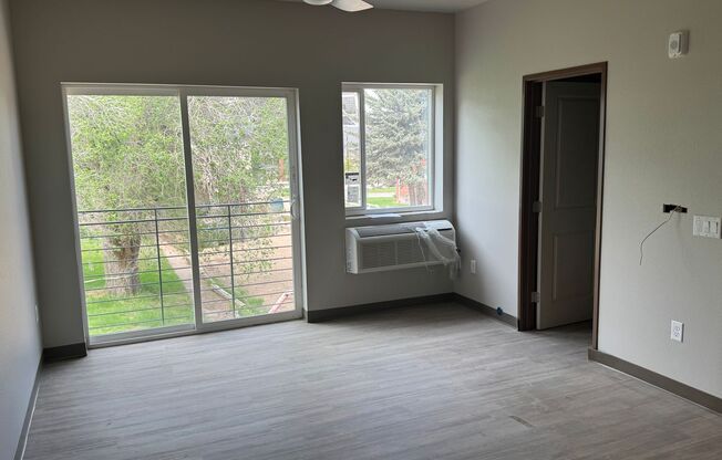 Studio, 1 bath, 458 sqft, $1,250, Unit 203
