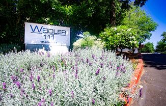 307 - Weidler 111