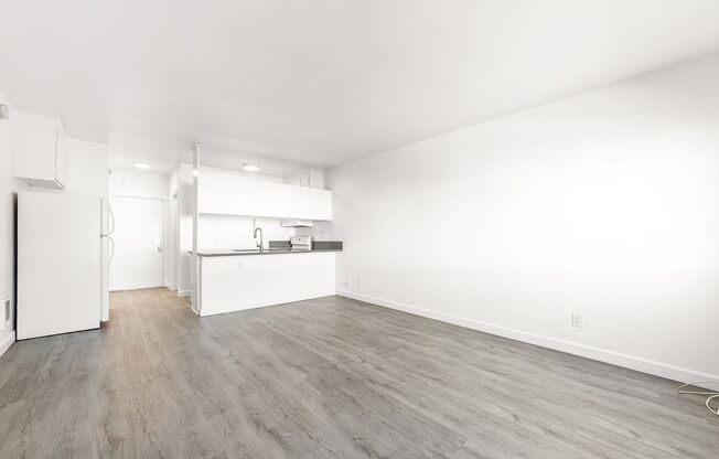 Studio, 1 bath, 390 sqft, $1,900, Unit 306