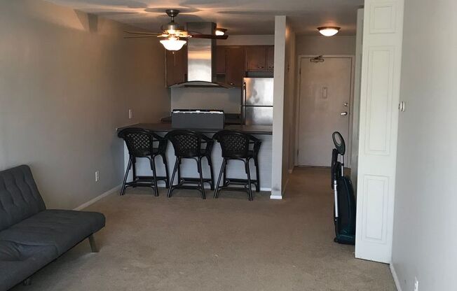 Studio, 1 bath, 470 sqft, $1,045, Unit 306