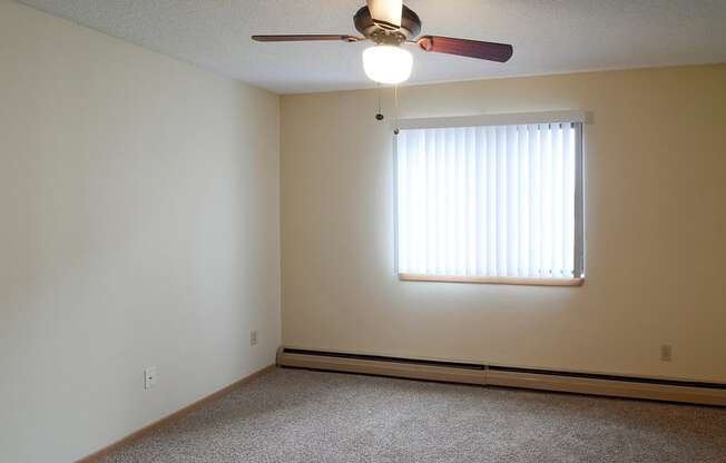 lots of natural light in apartment