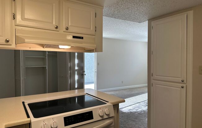 2 beds, 1 bath, 895 sqft, $1,700, Unit 494803