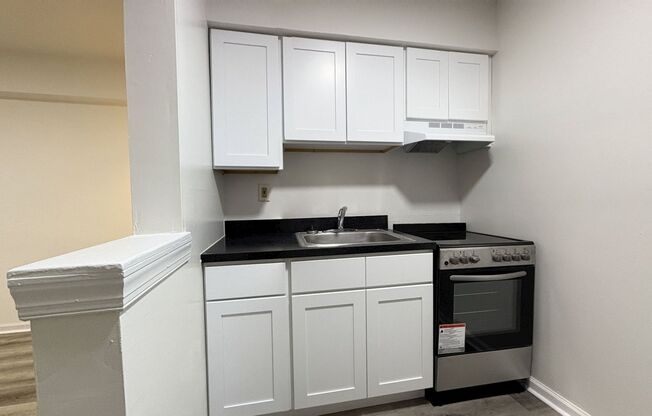 Studio, 1 bath, 295 sqft, $925, Unit B8