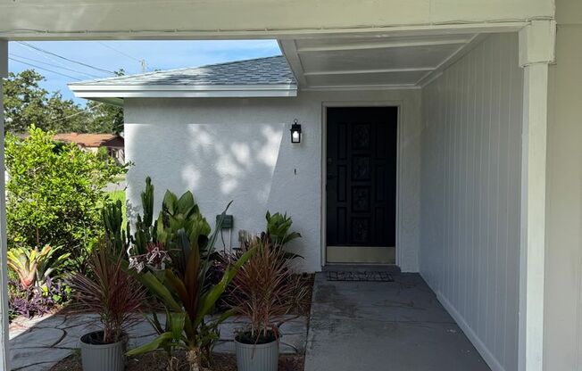 South Tampa Home