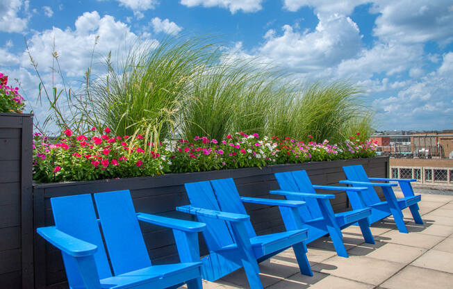 a row of blue chairs in front of flowers on a roof