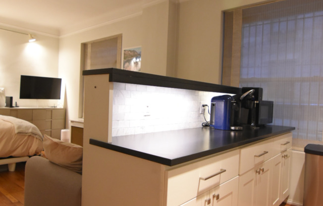Studio, 1 bath, 550 sqft, $3,500, Unit 2J