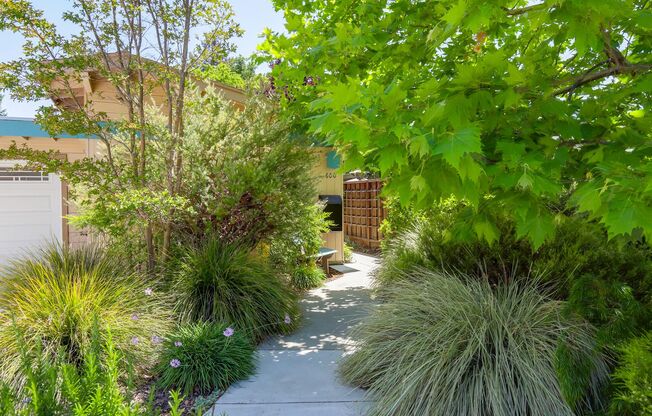 4 Bed / 2 Bath Welcoming Midtown Palo Alto home for rent. YouTube tour!!