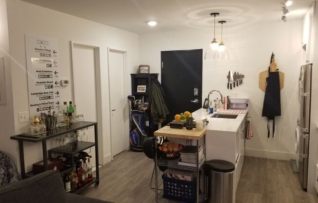 Studio, 1 bath, $1,699, Unit 103