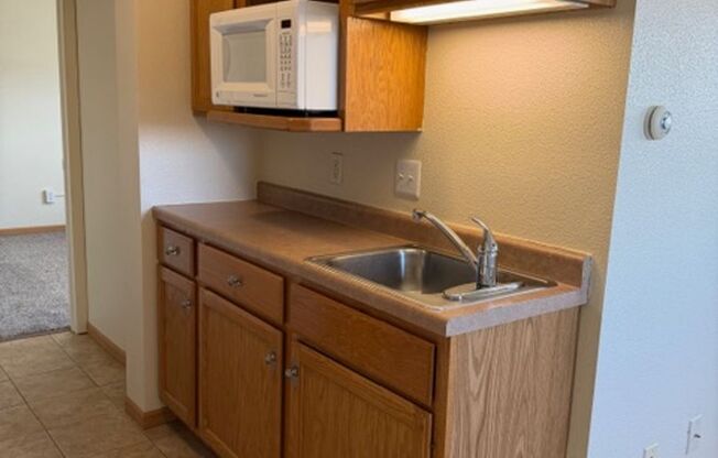 1 bed, 1 bath, 500 sqft, $1,000, Unit 3715-206