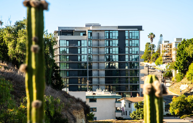 Studio, 1 bath, 362 sqft, $1,995, Unit 311