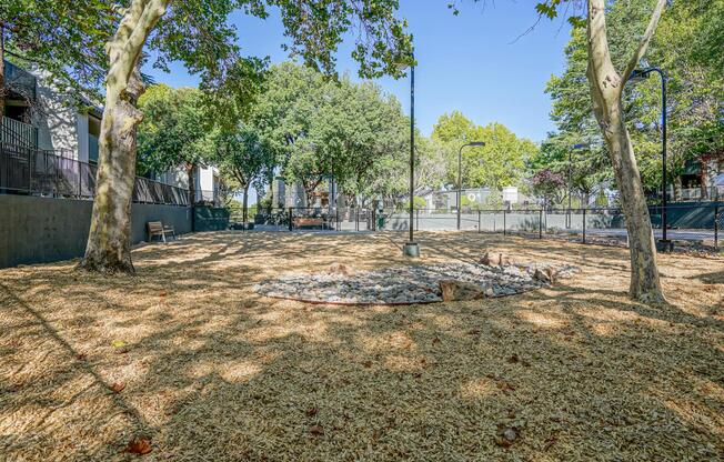 Gated dog park at Treehouse Apartments in Albuquerque, New Mexico
