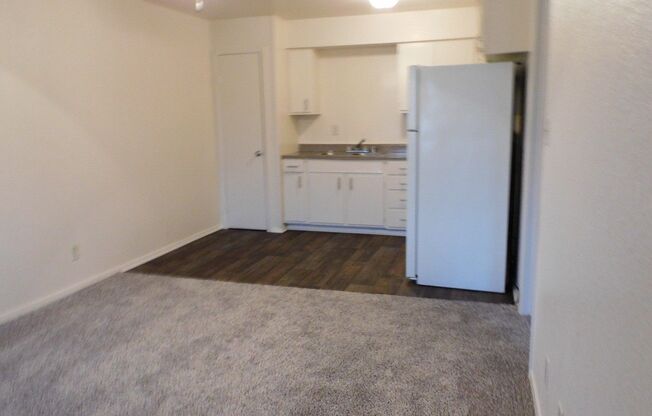 1 bed, 1 bath, 470 sqft, $750, Unit 208A