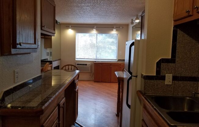Studio, 1 bath, 250 sqft, $1,245, Unit 202