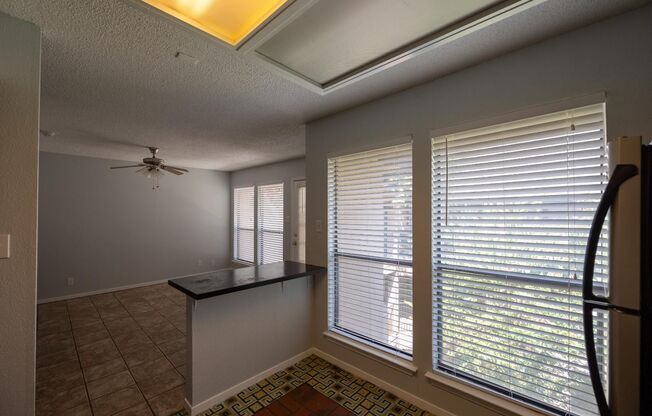Palmetto #307