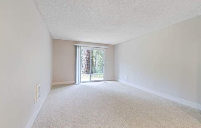 A room with a carpeted floor and a sliding glass door leading outside.